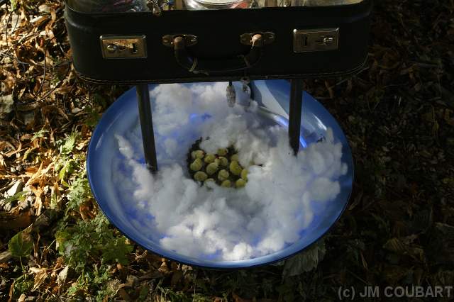 Diapositive suivante